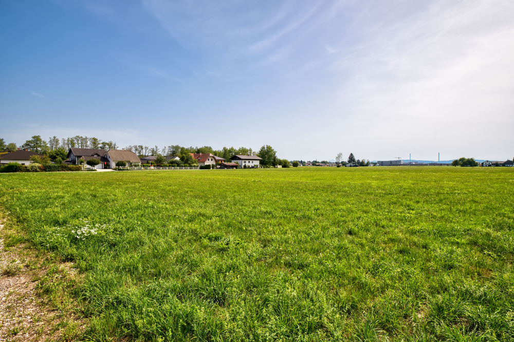 Mayr Immobilienl_Pfaffstätt_260827_02_Web