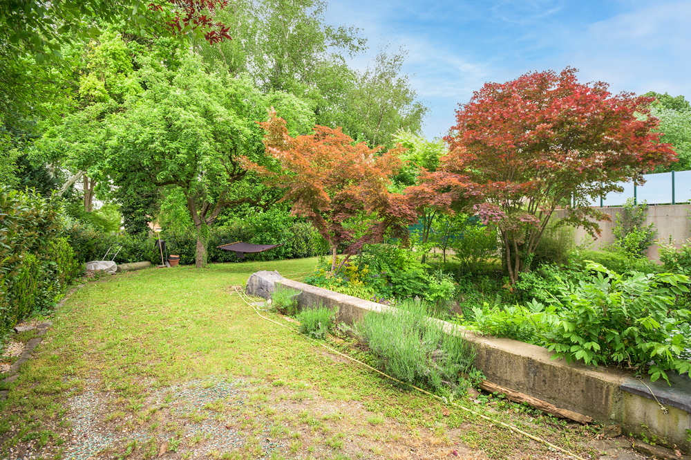 Mayr Immobilien-Braunau Ringstr-250515-28-Web