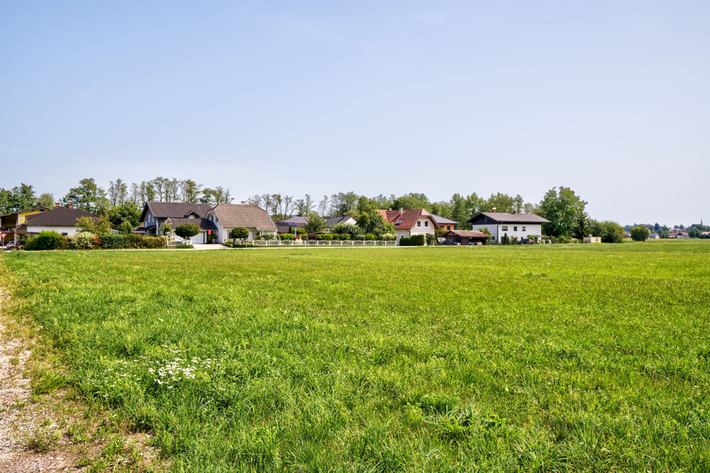 Mayr Immobilienl_Pfaffstätt_260827_01_Web