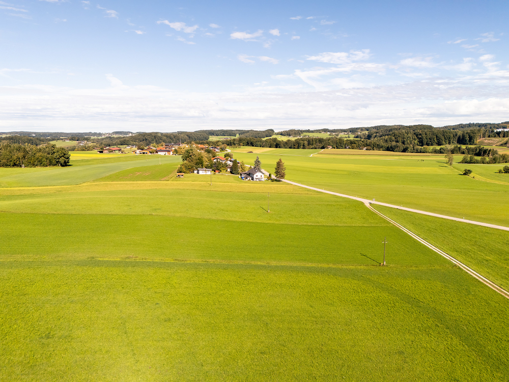 Mayr Immobilien-Grundstück Moosdorf-250915-05-Web
