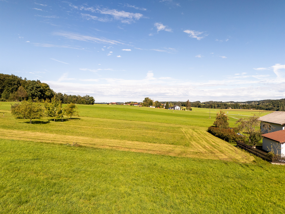 Mayr Immobilien-Grundstück Moosdorf-250915-08-Web