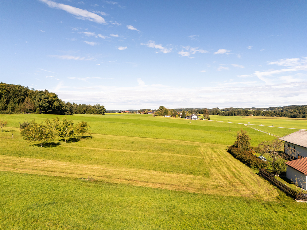 Mayr Immobilien-Grundstück Moosdorf-250915-06-Web