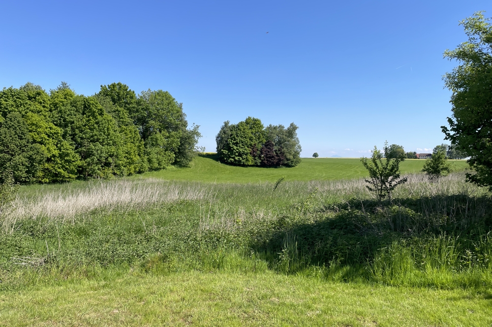 Neukirchen an der Enknach - Landwirtschaft in bester Lage im Innviertel / Haupthaus / Nebengebäude / Pferdeboxen / zahlreiche Bewirtschaftungsflächen / Wald.